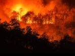 Api Bertambah Besar di Gunung Papandayan, Blok Tegal Alun Garut Terbakar