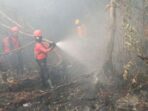 Provinsi Sumatera Selatan berhasil mengurangi jumlah titik panas dari kebakaran hutan dan lahan (Karhutla), Badan Meteorologi, Klimatologi, dan Geofisika (BMKG) mengatakan bahwa upaya mitigasi pencegahan Karhutla berjalan dengan baik.