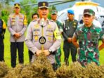 Penemuan Irjen Agung Setya terhadap ladang ganja sebesar 150 hektar yang dikuasai oleh narapidana di lapas