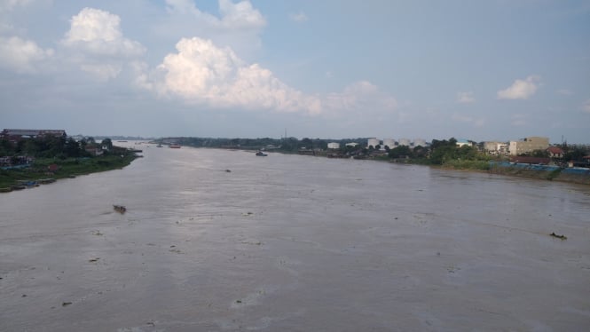 Sampah dan Eceng Gondok Menyebabkan Tercemarnya Sungai Batanghari Jambi