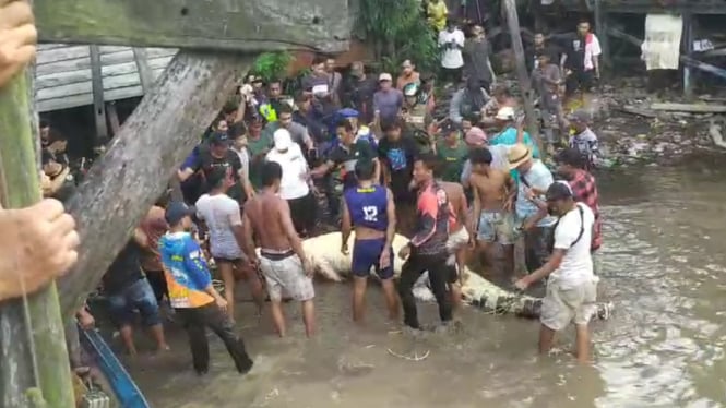 Bocah Akhirnya Ditemukan Meninggal Bukan di Dalam Lambung Buaya