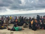 Pria Ini Memasukkan Ratusan Pengungsi Rohingya ke Aceh Dengan Bayaran, Ini Biaya ‘Tiketnya’