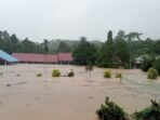 Banjir dan Longsor Melanda Luwu, 1.200 Warga Mengungsi dengan 7 Orang Tewas dan 15 Rumah Hanyut