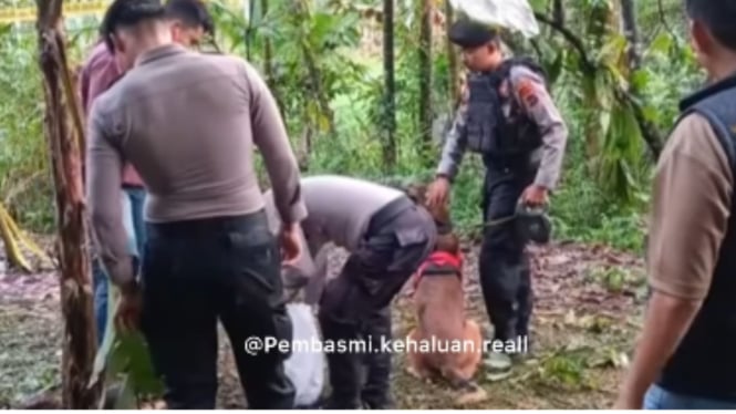 Misteri Kematian Gadis Penjual Gorengan Semakin Terungkap, Polisi Menemukan Barang Bukti Penting