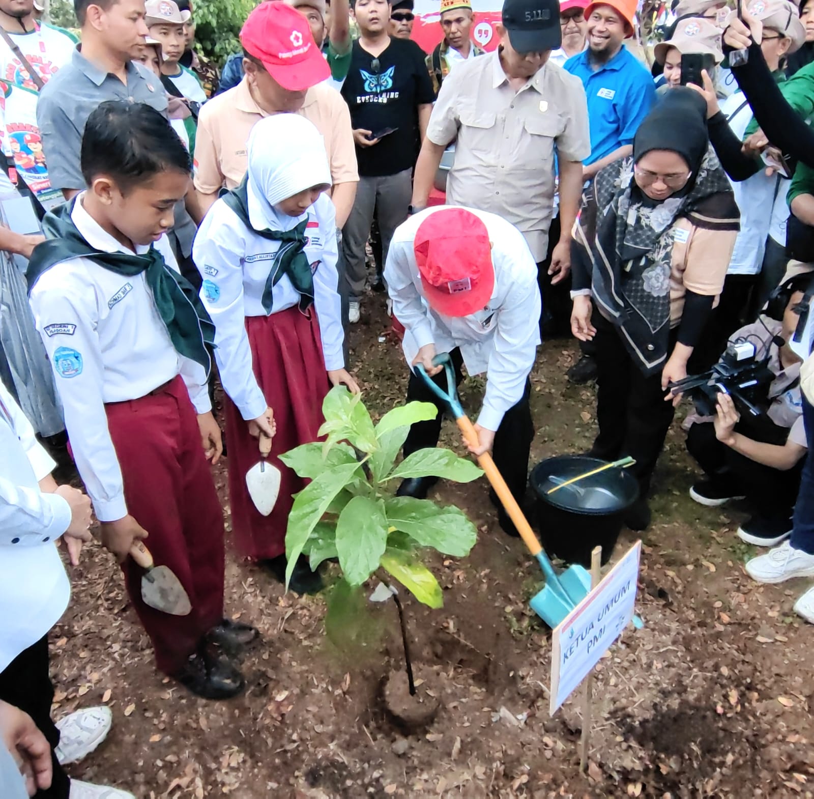 Jusuf Kalla Dorong Tanam Minimal Satu Juta Pohon Setiap Tahun untuk Mengingatkan Ancaman Bencana Kemanusiaan Akibat Perubahan Iklim